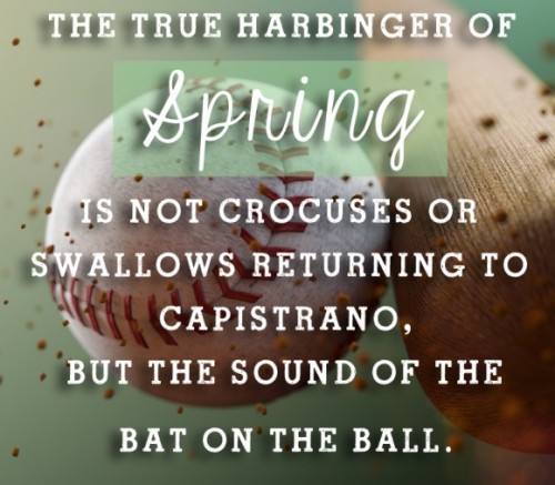 133+ Spring Quotes to rejoice about the First Day of Season